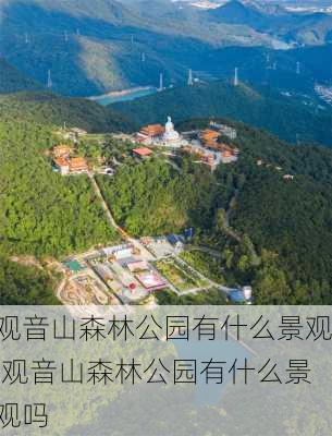 观音山森林公园有什么景观,观音山森林公园有什么景观吗