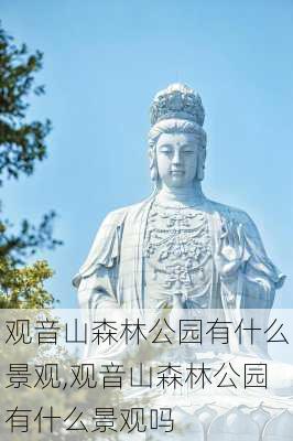 观音山森林公园有什么景观,观音山森林公园有什么景观吗