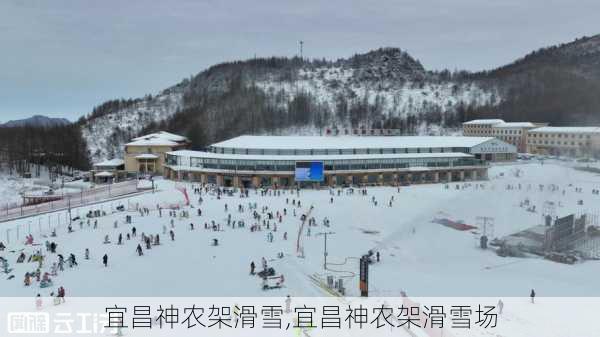 宜昌神农架滑雪,宜昌神农架滑雪场