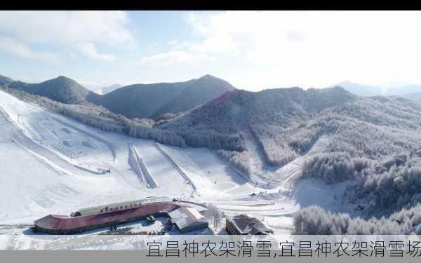 宜昌神农架滑雪,宜昌神农架滑雪场