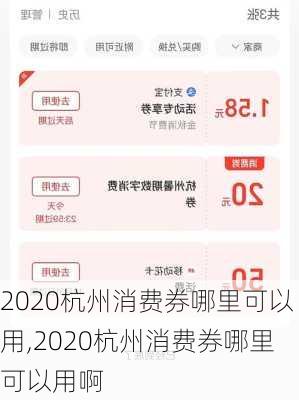 2020杭州消费券哪里可以用,2020杭州消费券哪里可以用啊