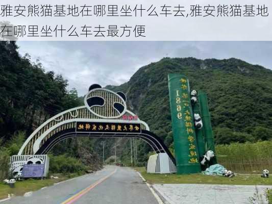 雅安熊猫基地在哪里坐什么车去,雅安熊猫基地在哪里坐什么车去最方便