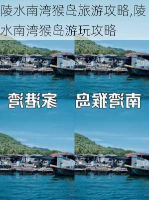 陵水南湾猴岛旅游攻略,陵水南湾猴岛游玩攻略