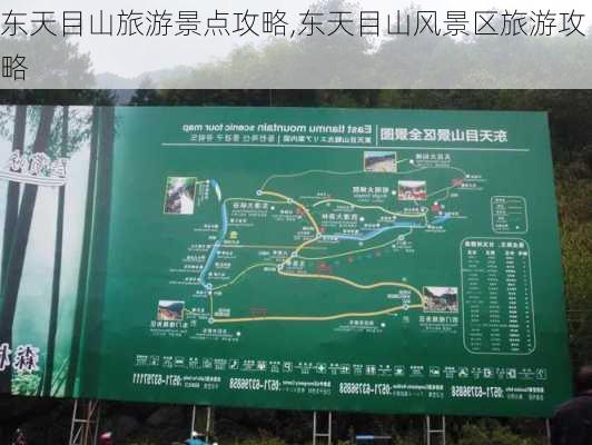 东天目山旅游景点攻略,东天目山风景区旅游攻略