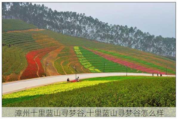 漳州十里蓝山寻梦谷,十里蓝山寻梦谷怎么样