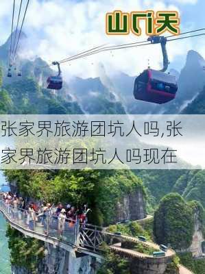 张家界旅游团坑人吗,张家界旅游团坑人吗现在