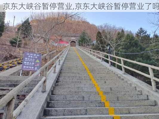 京东大峡谷暂停营业,京东大峡谷暂停营业了吗