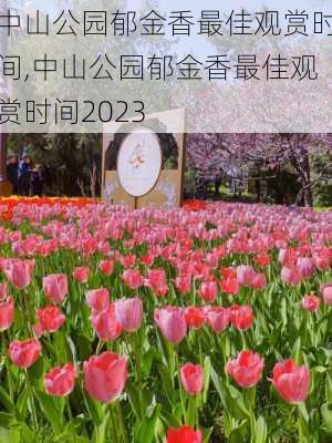 中山公园郁金香最佳观赏时间,中山公园郁金香最佳观赏时间2023