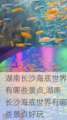 湖南长沙海底世界有哪些景点,湖南长沙海底世界有哪些景点好玩