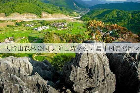 天阶山森林公园,天阶山森林公园属于风景名胜区