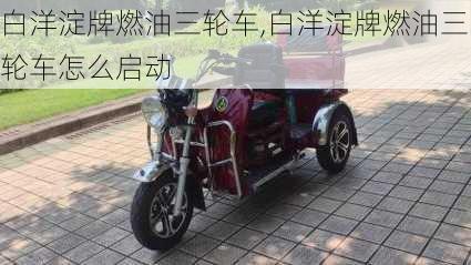 白洋淀牌燃油三轮车,白洋淀牌燃油三轮车怎么启动