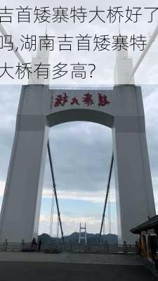 吉首矮寨特大桥好了吗,湖南吉首矮寨特大桥有多高?