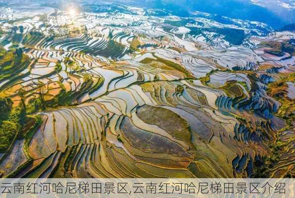 云南红河哈尼梯田景区,云南红河哈尼梯田景区介绍