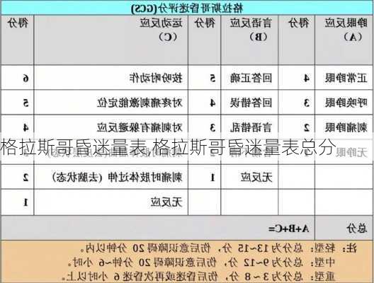 格拉斯哥昏迷量表,格拉斯哥昏迷量表总分