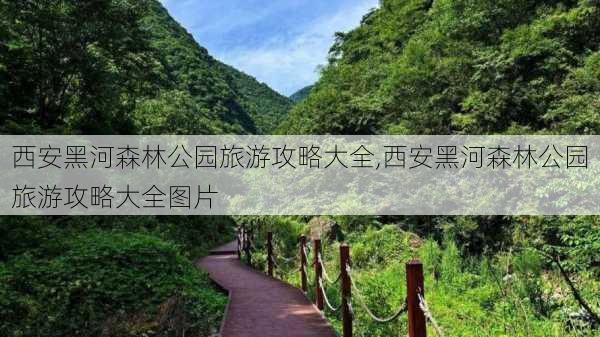 西安黑河森林公园旅游攻略大全,西安黑河森林公园旅游攻略大全图片