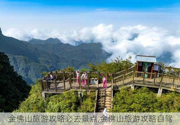 金佛山旅游攻略必去景点,金佛山旅游攻略自驾