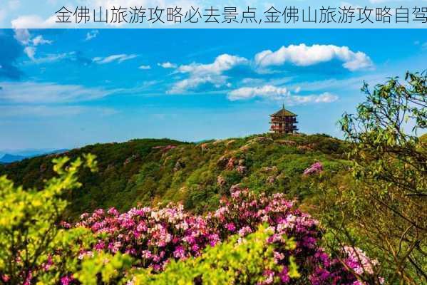 金佛山旅游攻略必去景点,金佛山旅游攻略自驾