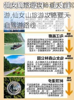 仙女山旅游攻略夏天自驾游,仙女山旅游攻略夏天自驾游路线