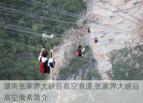 湖南张家界大峡谷高空滑道,张家界大峡谷高空滑索简介