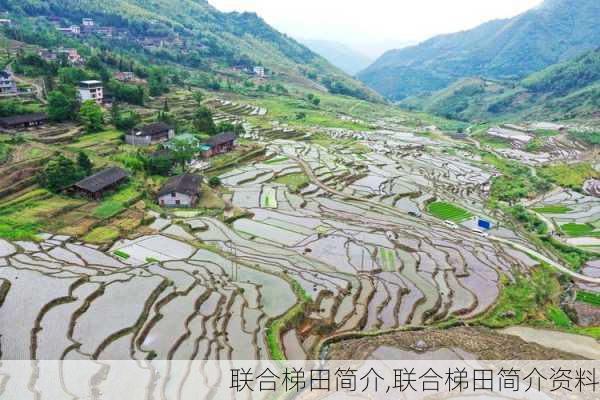 联合梯田简介,联合梯田简介资料