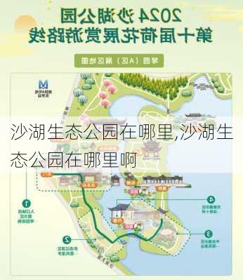 沙湖生态公园在哪里,沙湖生态公园在哪里啊