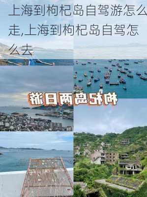 上海到枸杞岛自驾游怎么走,上海到枸杞岛自驾怎么去