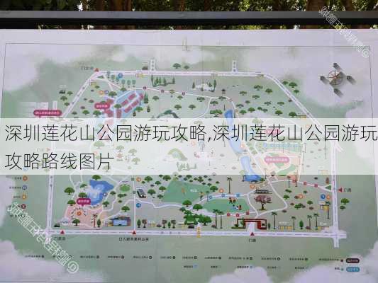 深圳莲花山公园游玩攻略,深圳莲花山公园游玩攻略路线图片