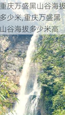 重庆万盛黑山谷海拔多少米,重庆万盛黑山谷海拔多少米高